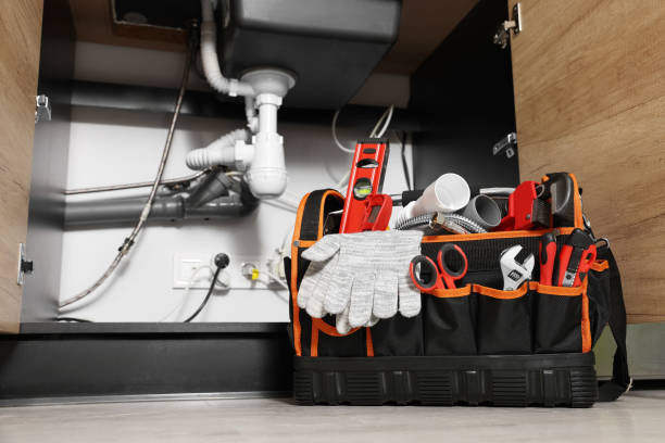 Best Local Plumber Services  in Ida Grove, IA