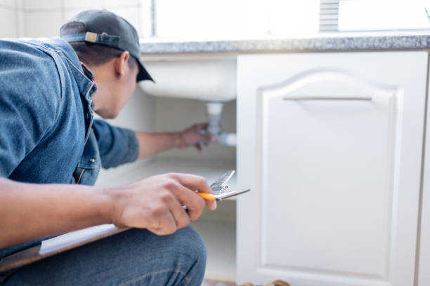 Best Affordable Plumbing Services  in Ida Grove, IA