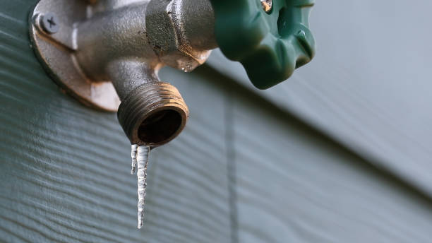 Best Residential Plumbing Services  in Ida Grove, IA