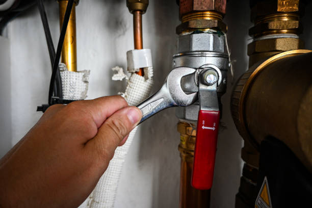 Best Best Plumbers Near Me  in Ida Grove, IA